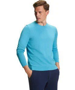 Herren Pullover Rundhals